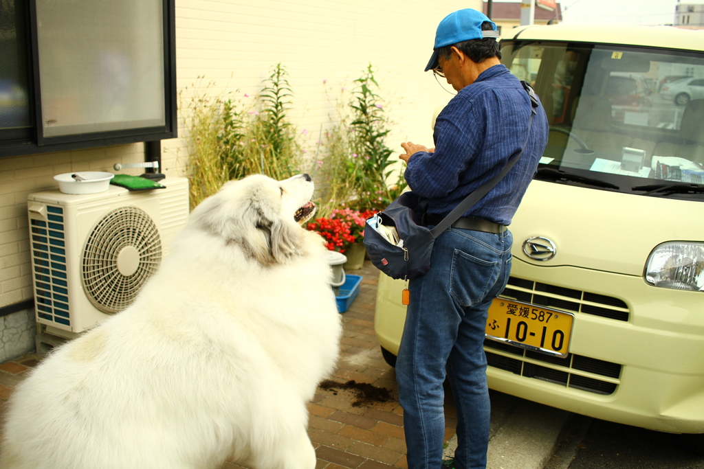 おじさんにチーズをおねだりするココさん