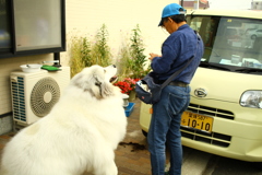 おじさんにチーズをおねだりするココさん