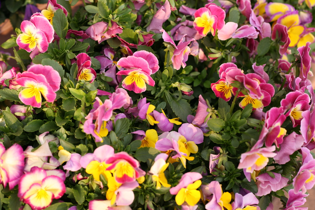 夕方も暇だな～～