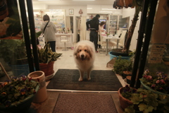 お店番してるココさん