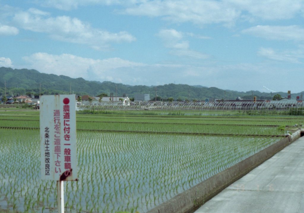 Lomography Color Negative 100 いい感じ