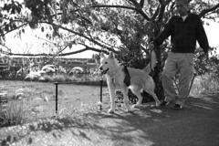 ＠2018-11-03モノクロ