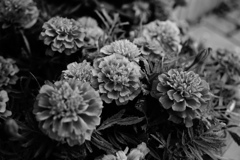 モノクロ＠2019-07-08