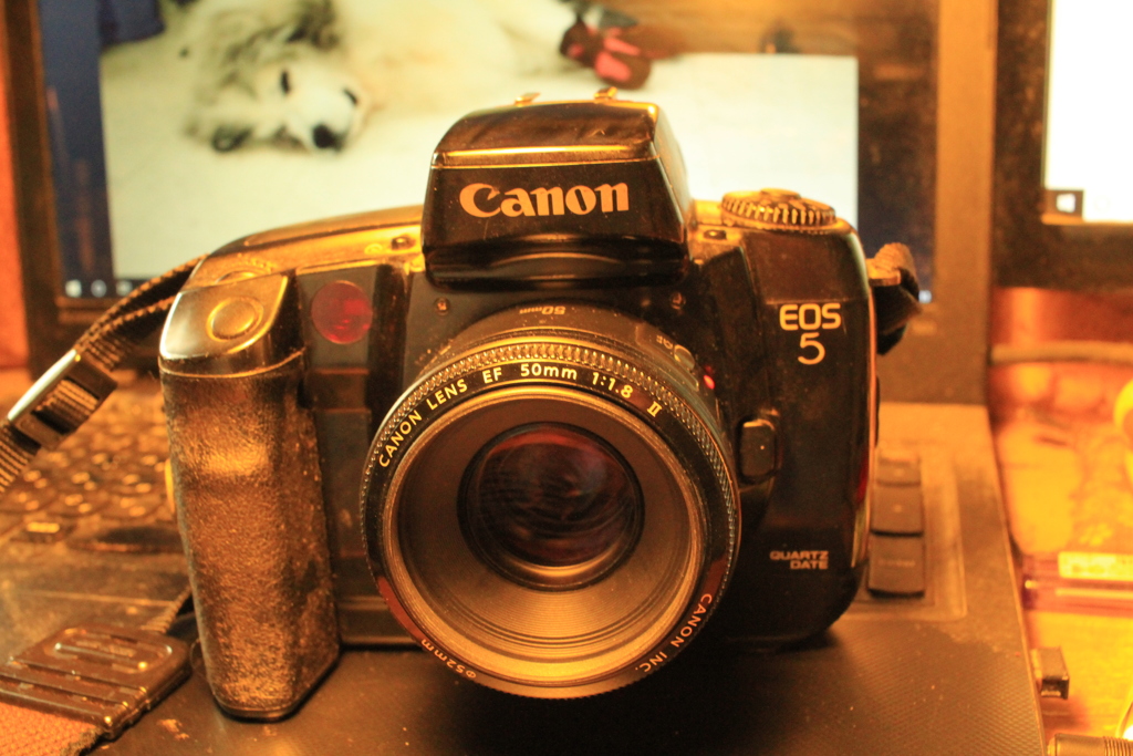 EF50mmをEos5につけてフィルム消費中