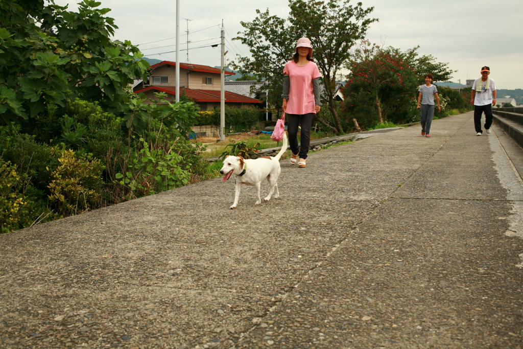 フリーダムなククル