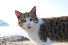 ぽかぽか陽気＠2018-01-20