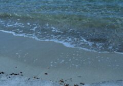 ロモ　カラーネガ100