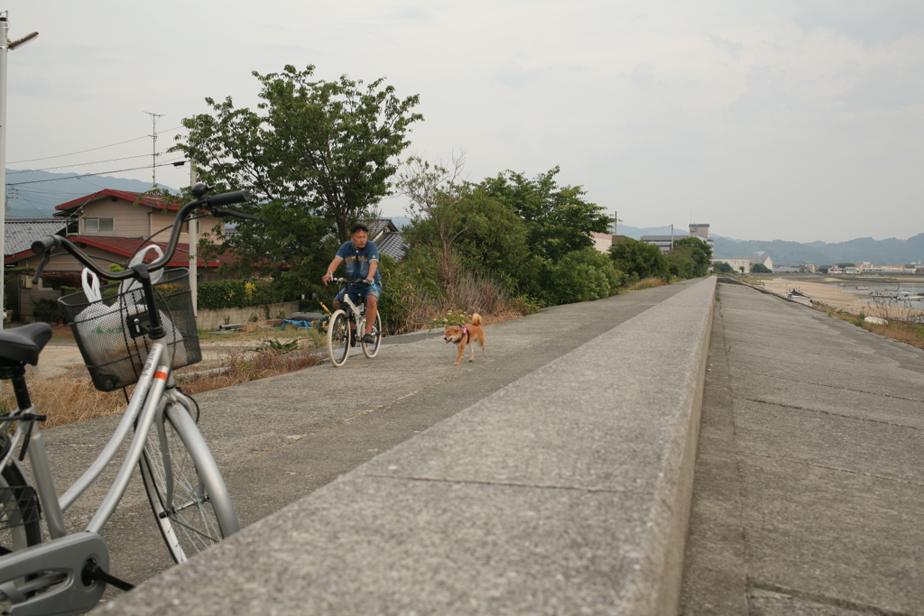 ついていきますぜお父ちゃん