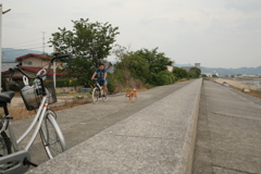 ついていきますぜお父ちゃん