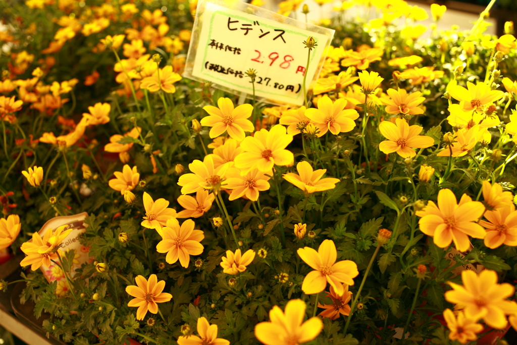 日曜＠2019‐10‐13