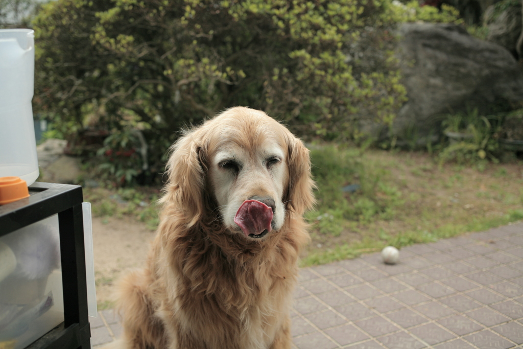 朝のみゅうちゃん