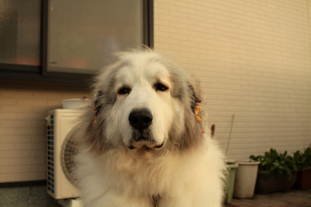 今日も激寒＠2018-01-13