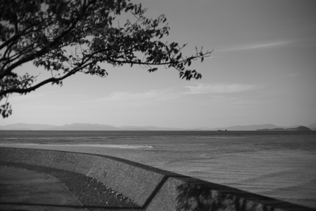 ＠2018-11-03モノクロ