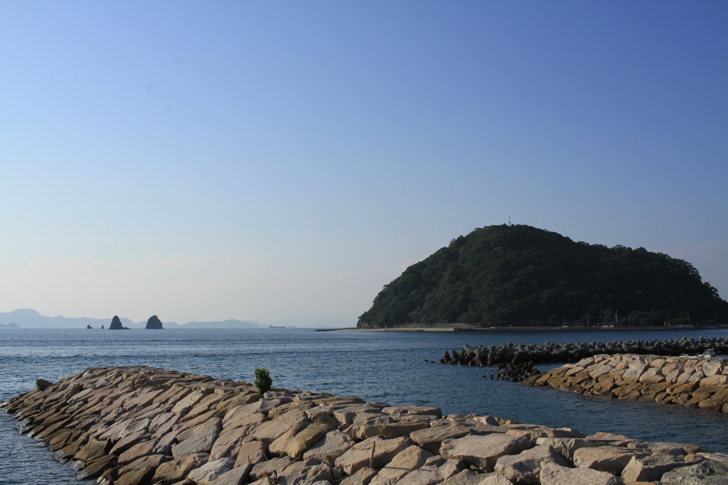 写してるおっさんはお尻がかゆい