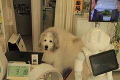 3時18分のココさん