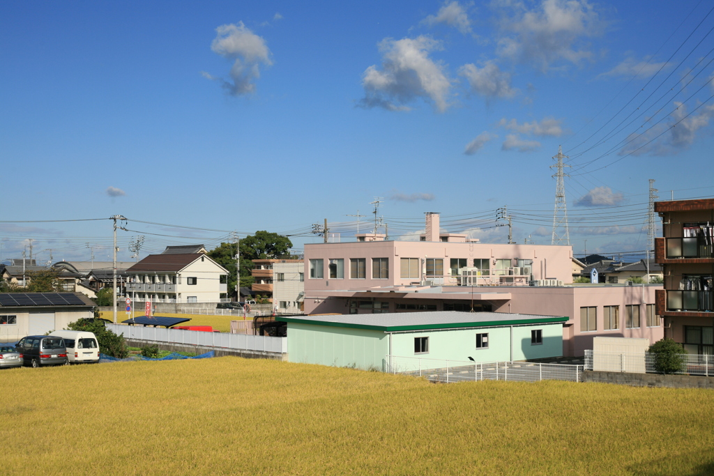 Eos5Dいいんではないかい　!(^^)!