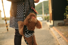 名前忘れた　!(^^)!