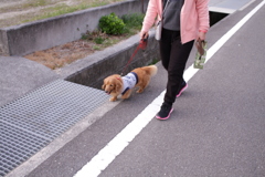 春日和＠2019-03-20