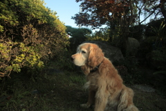 お宿番してるみゅうちゃん