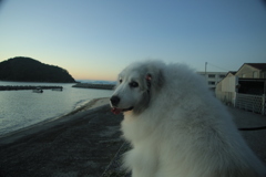 見返りココさん