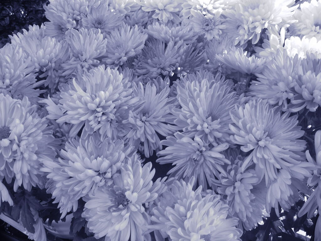 @2020‐03‐02