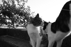 右上の光の筋が出てるの