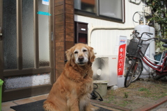 お宿番してる営業本部長みゅうちゃん