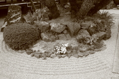 法然寺（ほうねんじ）にて