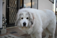 あったかい＠2018-03-04