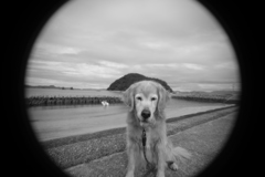 新しいい寫眞表現