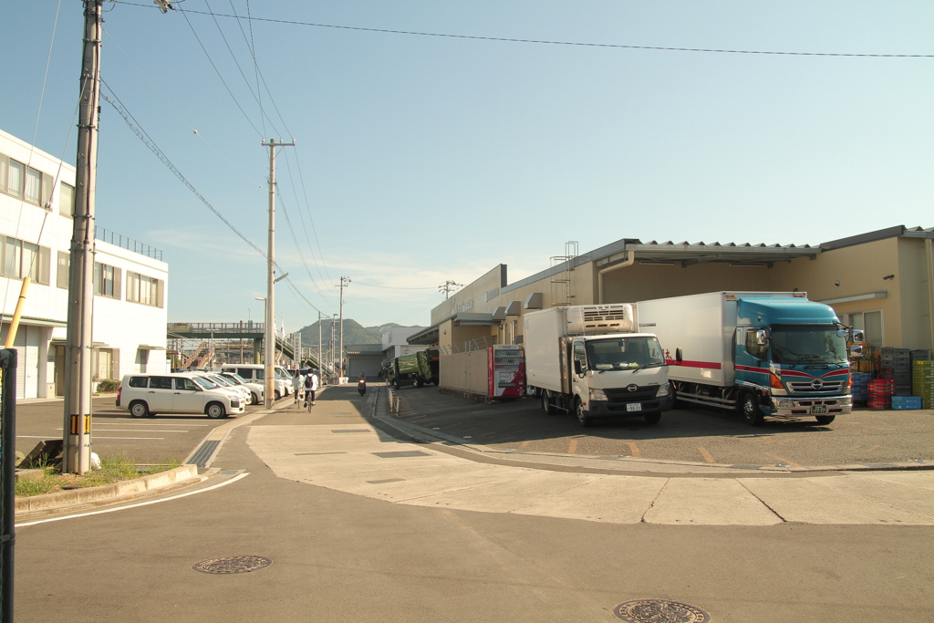 朝＠2020‐08‐17