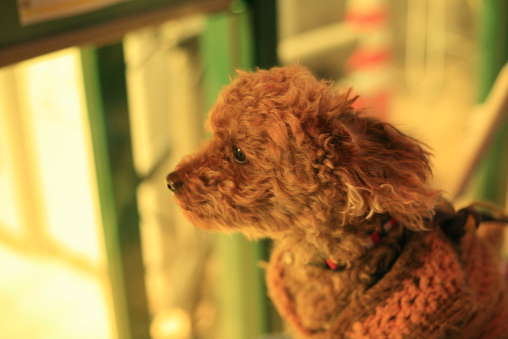 元気で元ちゃんだったかな