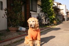 お宿番してる営業本部長みゅうちゃん