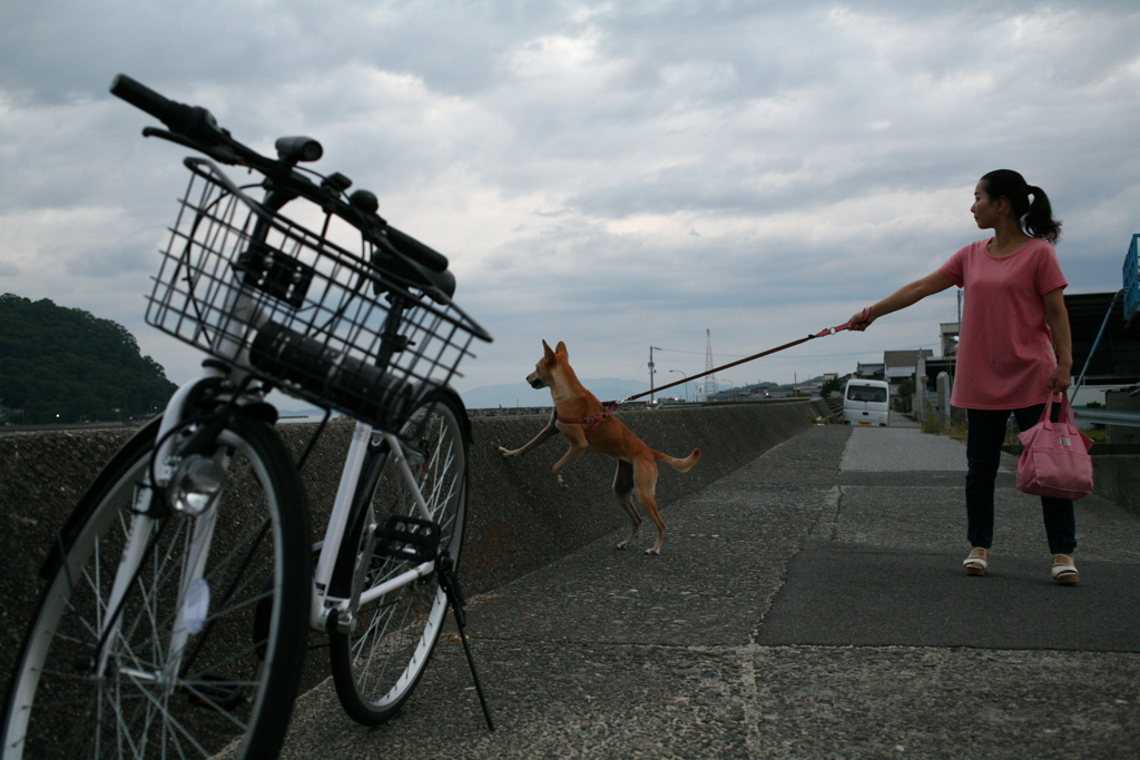 海が気になるマリリン