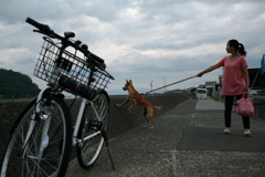 海が気になるマリリン