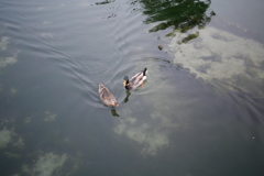 新しい朝が来た、火曜の朝だ