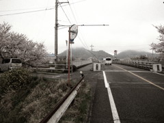 今日もイミフ系写真
