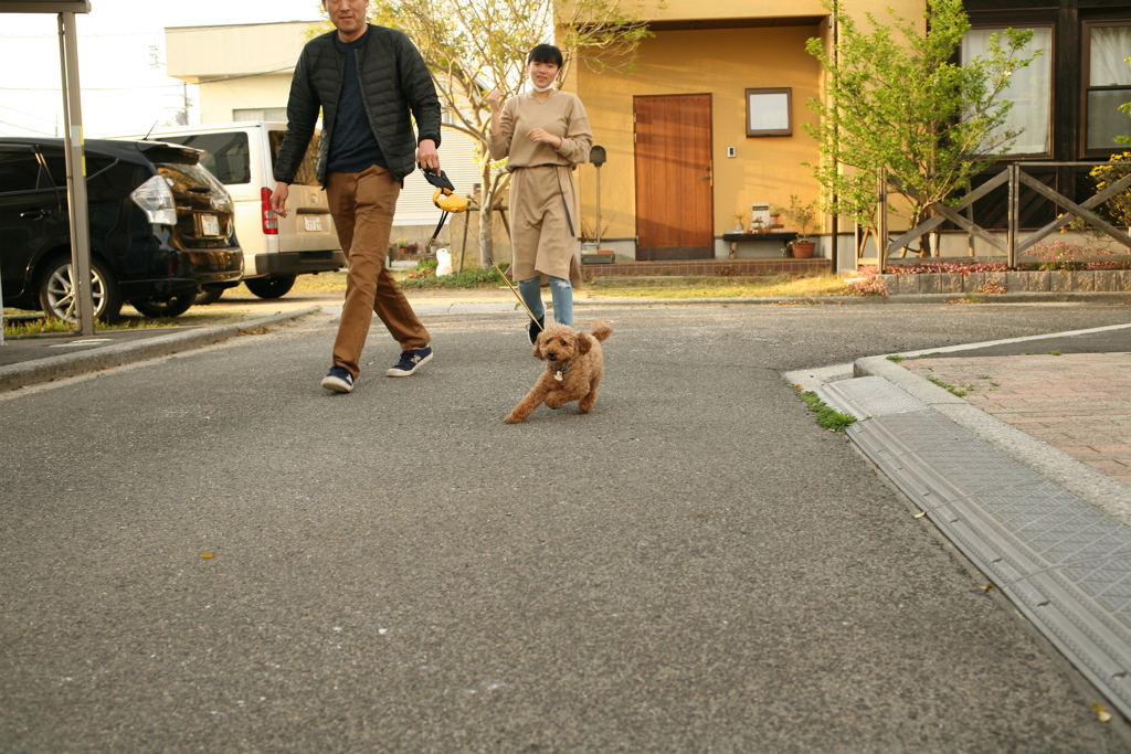 散歩に出かけるロロちゃん