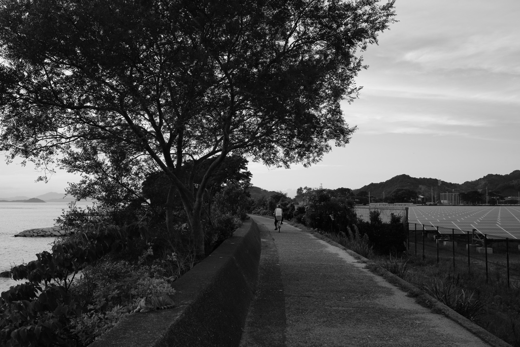 昨日のB面的写真