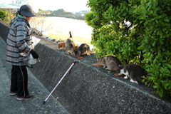 おばあさん８３までチャリンコ乗ってた　!(^^)!