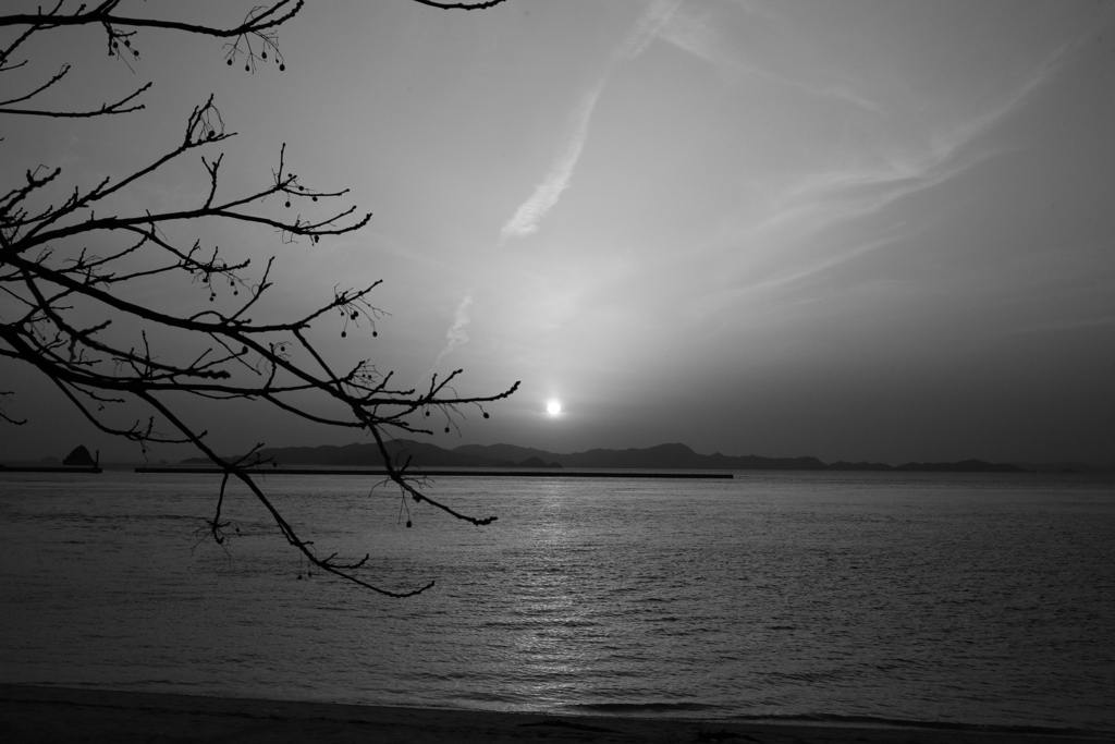 モノクロ＠2020‐03‐21