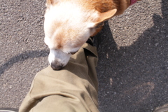 あったかい＠2019-03-21