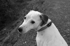 日曜の朝@2019‐10‐06