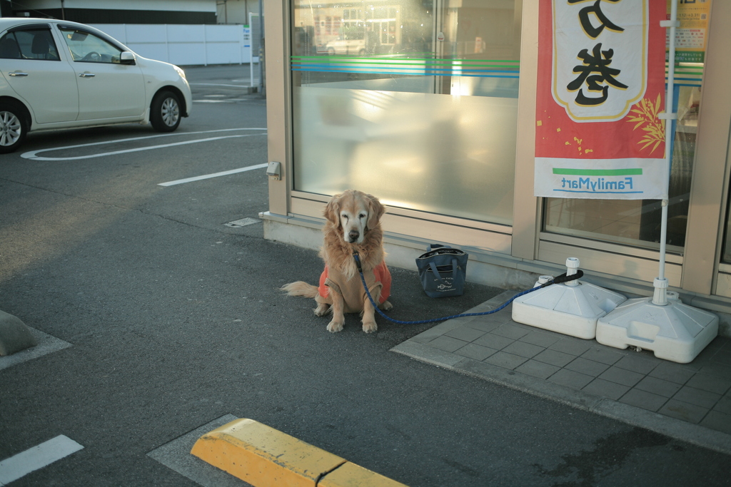 お留守番してるみゅうちゃん