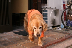 夕方も暇だな～～