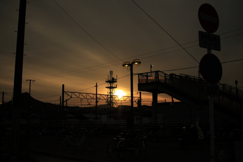 昨日の写真カラー