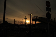 昨日の写真カラー