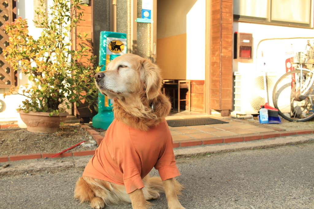 みゅうちゃん＠北条水軍ユースホステル