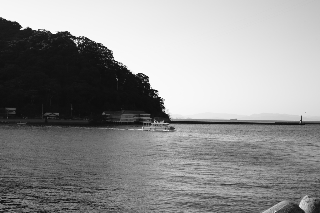 モノクロ＠2019-01-29