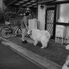 おニューのレンズでモノクロで写すという暴挙